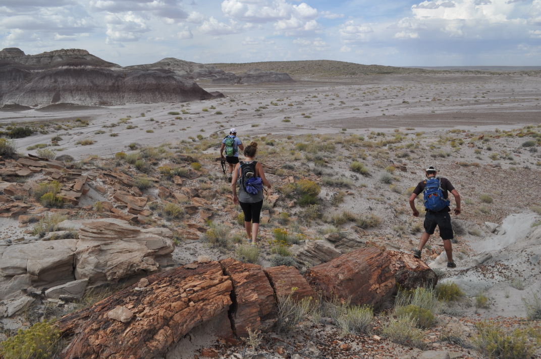 Petrified Forest file